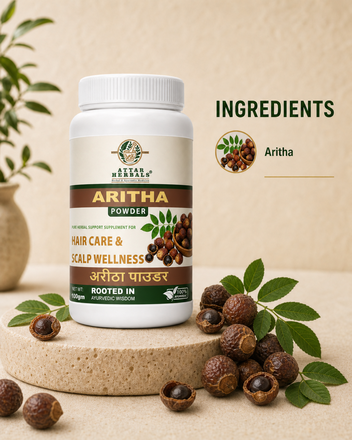 ARITHA POWDER